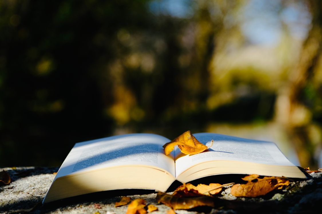 what makes a good espionage novel