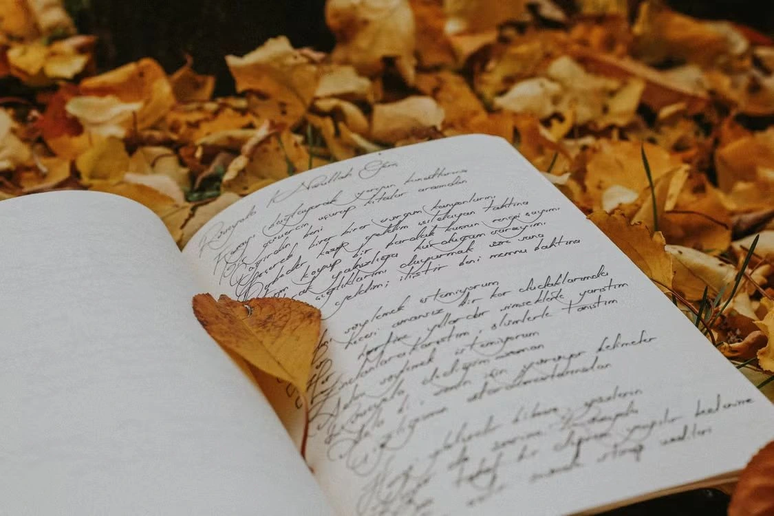 writing style of Ethan Ross novels